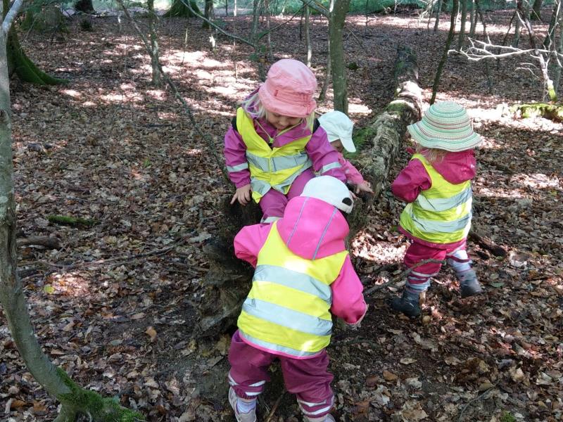 Image 1 : Crèche et foyer de jour pour enfant à Flaxweiler : Crèche Am Hummelnascht