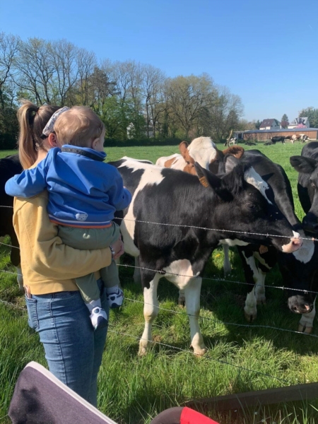 Image 1 : Crèche et foyer de jour pour enfant à Capellen : Gekko Sàrl