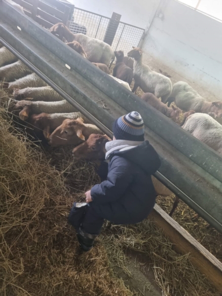 Image 1 : Crèche et foyer de jour pour enfant à Musson : Crèche la Cigogne