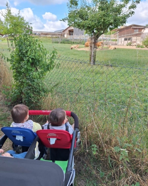 Image 1 : Crèche et foyer de jour pour enfant à Windhof (Koerich) : Crèche Graines d’explorateurs