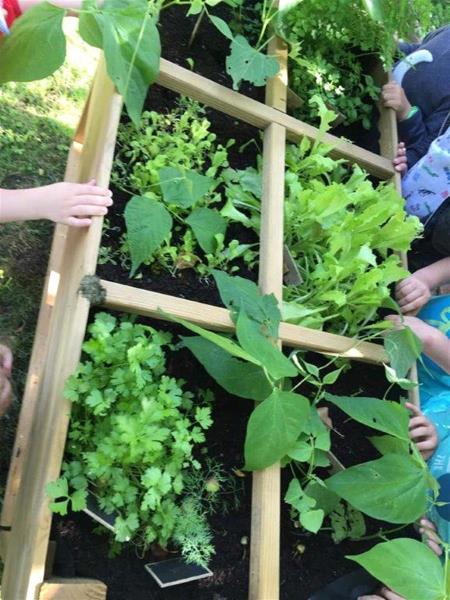 Image 1 : Crèche et foyer de jour pour enfant à Rodange : Les Scoubidoux