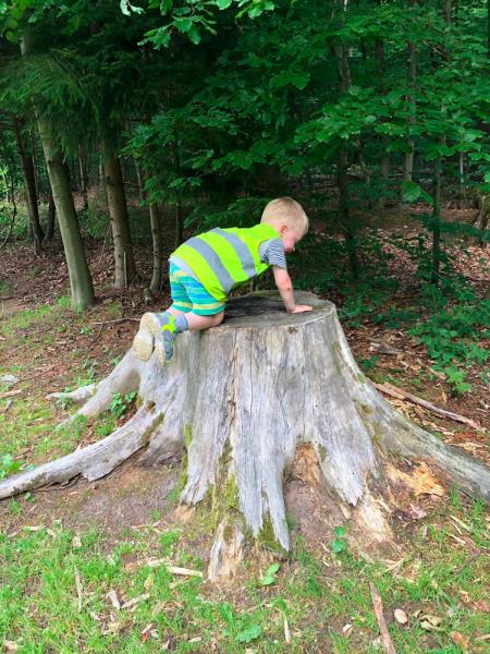 Image 2 : Crèche et foyer de jour pour enfant à Helmsange : Cannelle & Caramel - Crèche écologique