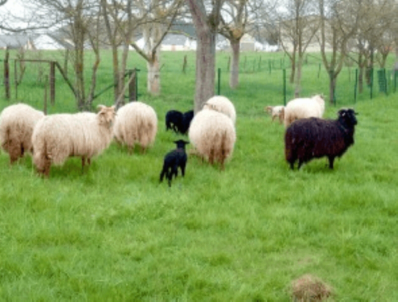 Image 3 : Crèche et foyer de jour pour enfant à Junglinster : Kwaki (Crèche)