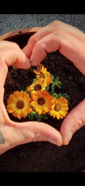 Image 3 : Crèche et foyer de jour pour enfant à Wilwerdange : Crèche le Bonheur