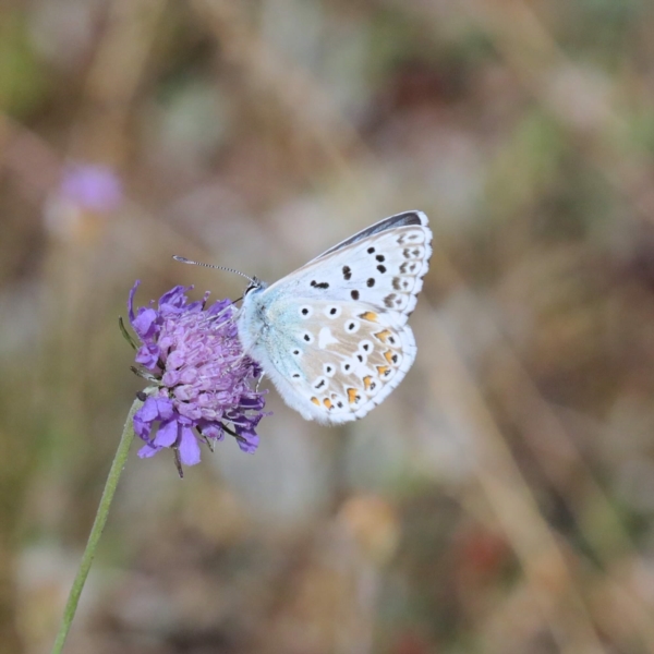 Image 1 : Crèche et foyer de jour pour enfant à Schuttrange : Crèche Charlilly SARL