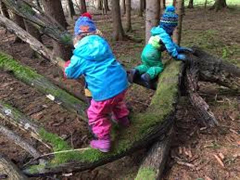 Image 3 : Crèche et foyer de jour pour enfant à Flaxweiler : Crèche Am Hummelnascht