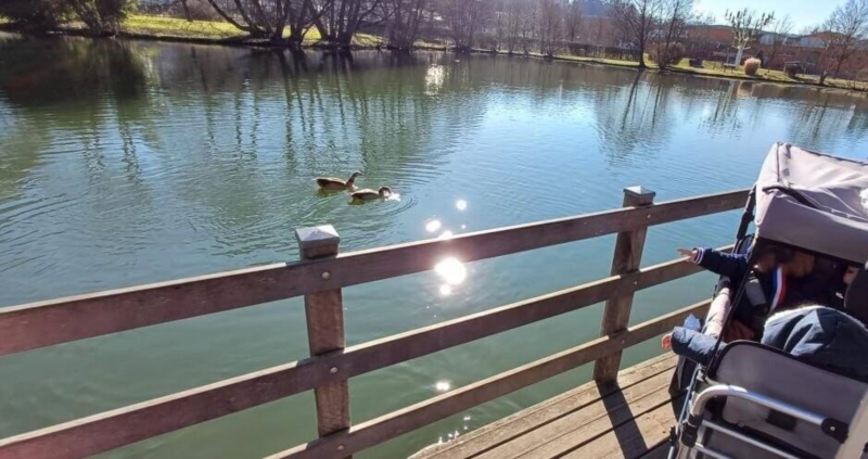 Image 5 : Crèche et foyer de jour pour enfant à Colmar-Berg : Engelshaischen SA