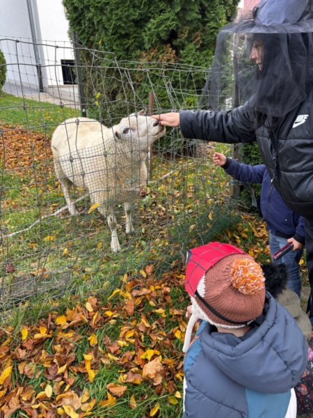 Image 4 : Crèche et foyer de jour enfant à Koerich : Maerchenland Sàrl