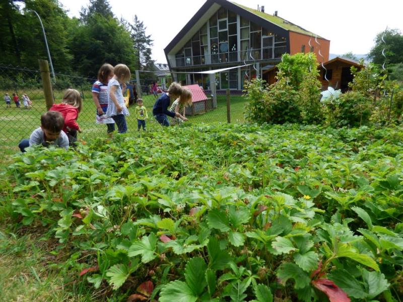 Image 3 : Crèche et foyer de jour pour enfant à Helmsange : Cannelle & Caramel - Crèche écologique
