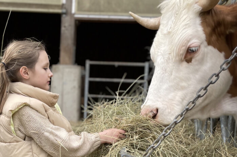 Image 2 : Crèche et foyer de jour pour enfant à Schuttrange : Crèche Charlilly SARL