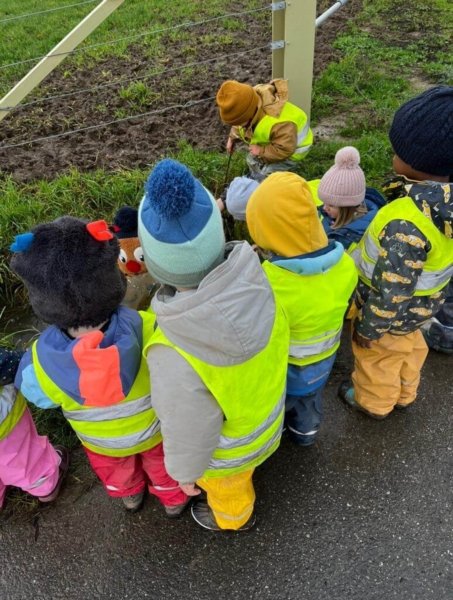 Image 10 : Crèche et foyer de jour pour enfant à Flaxweiler : Crèche Am Hummelnascht