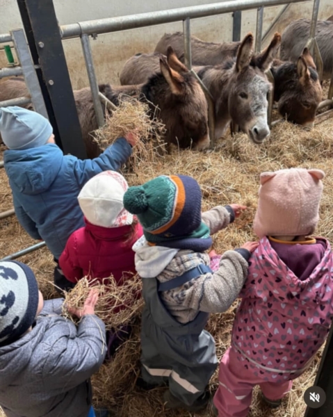 Image 5 : Crèche et foyer de jour pour enfant à Koerich : Maerchenland Sàrl