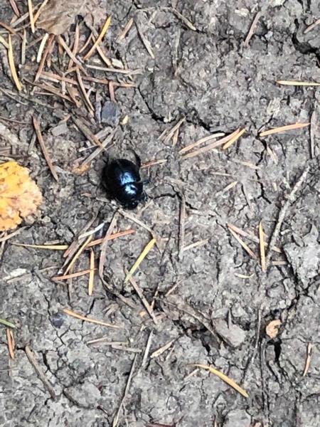 Image 11 : Crèche et foyer de jour pour enfant à Flaxweiler : Crèche Am Hummelnascht