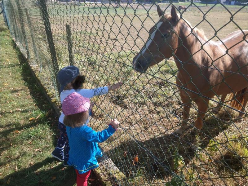 Image 15 : Crèche et foyer de jour pour enfant à Flaxweiler : Crèche Am Hummelnascht