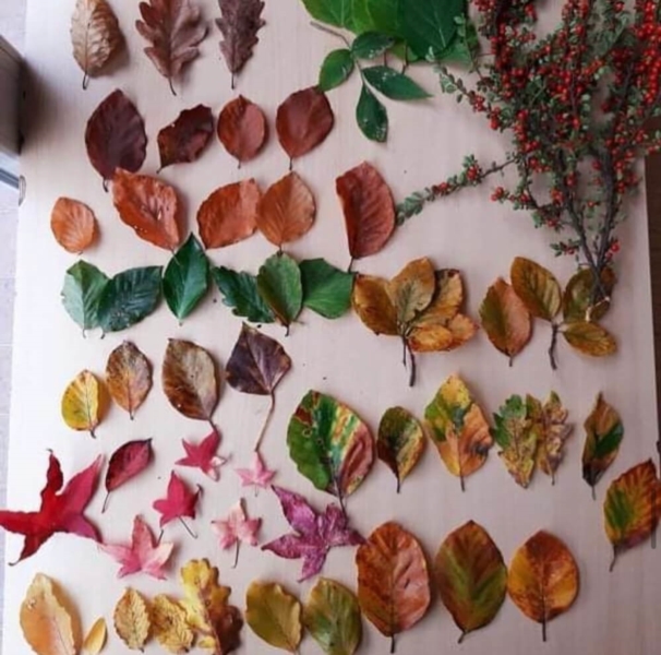 Image 13 : Garderie d'enfant à Schifflange : Crèche Bébé Star