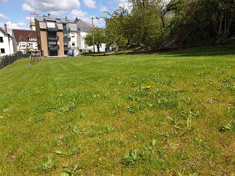 Image 4 : Crèche et foyer de jour pour enfant à Rodange : Les Scoubidoux