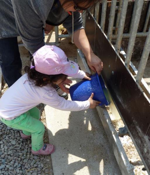 Image 2 : Crèche et foyer de jour pour enfant à Luxembourg : Crèche Bambesch Kids