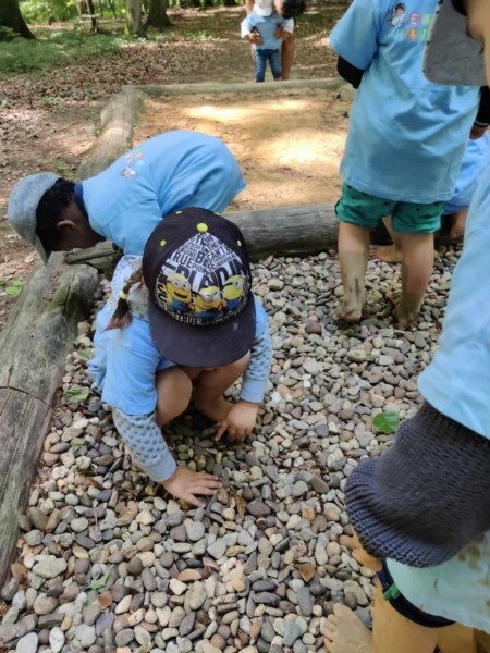 Image 9 : Crèche et foyer de jour pour enfant à Colmar-Berg : Engelshaischen SA
