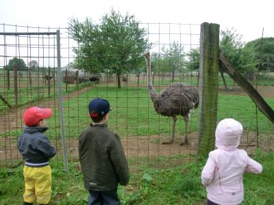 Image 10 : Crèche et foyer de jour pour enfant à Wintrange : Crèche Krunnemecken