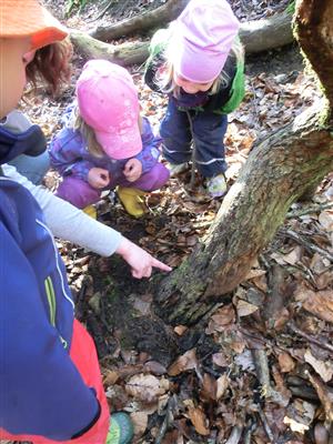 Image 12 : Crèche et foyer de jour pour enfant à Wintrange : Crèche Krunnemecken
