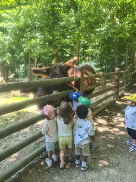 Image 20 : Crèche et foyer de jour enfant à Windhof (Koerich) : Crèche Graines d’explorateurs