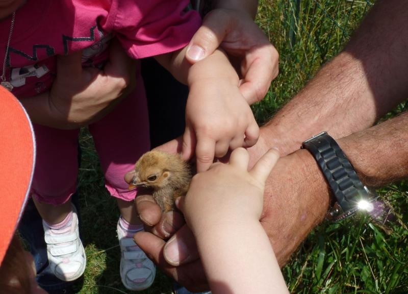 Image 4 : Crèche et foyer de jour pour enfant à Luxembourg : Crèche Bambesch Kids