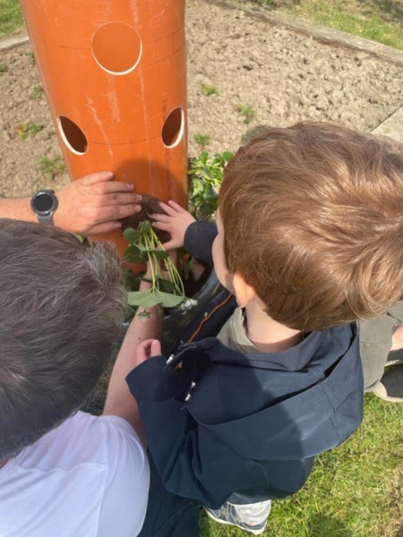 Image 4 : Crèche et foyer de jour pour enfant à Capellen : Gekko Sàrl