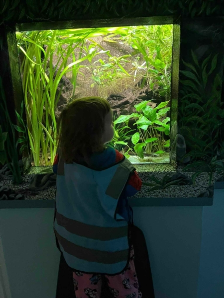 Image 18 : Crèche et foyer de jour pour enfant à Bous : Crèche Mäerchenschlass Sàrl