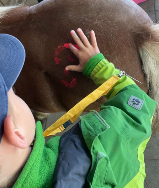 Image 2 : Crèche et foyer de jour pour enfant à Wiltz : Kannerhaus Wooltz asbl - Maison Relais Reenert