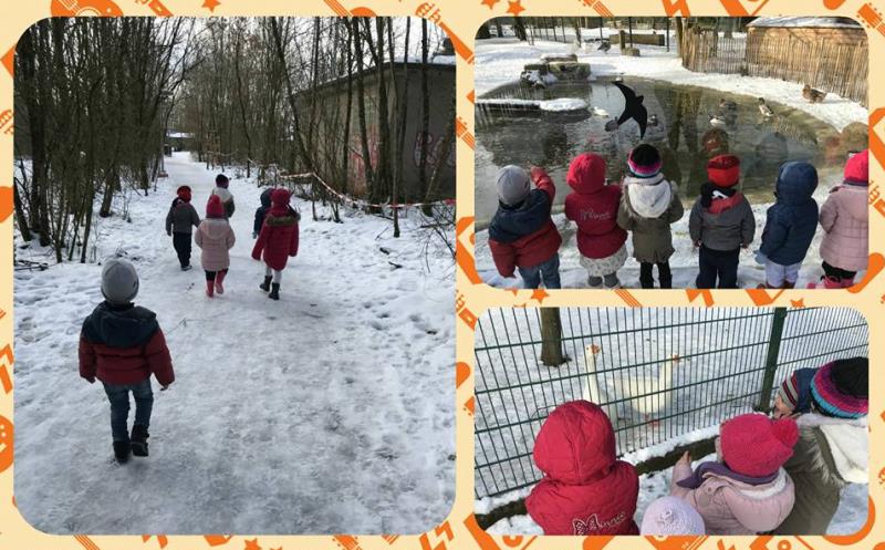 Image 9 : Crèche et foyer de jour pour enfant à Leudelange : Les P'tits Choux SA