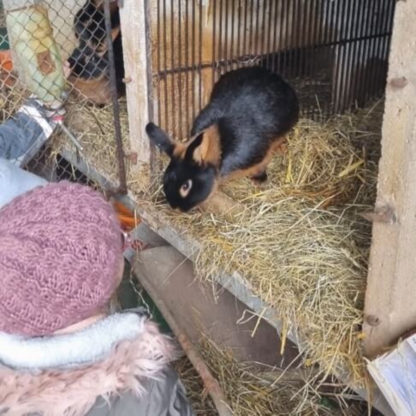 Image 15 : Crèche et foyer de jour pour enfant à Colmar-Berg : Engelshaischen SA
