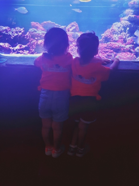 Image 16 : Crèche et foyer de jour pour enfant à Colmar-Berg : Engelshaischen SA