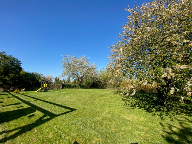Image 6 : Crèche et foyer de jour pour enfant à Schwebsingen : Garden of Awakening - Crèche Le jardin d’éveil