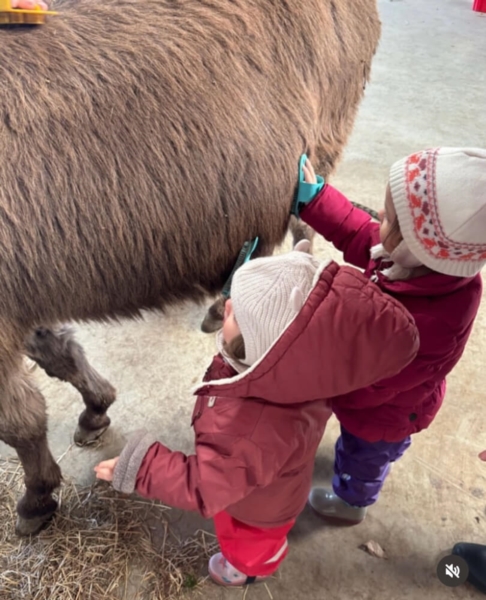 Image 14 : Crèche et foyer de jour pour enfant à Koerich : Maerchenland Sàrl