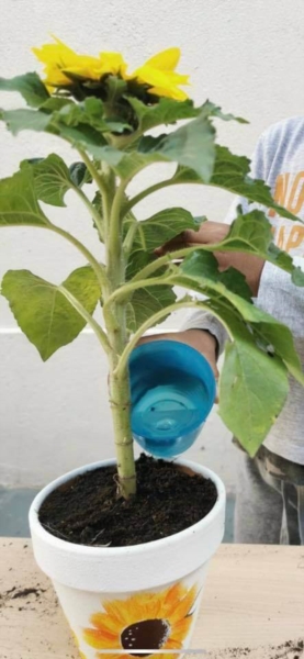 Image 8 : Crèche et foyer de jour pour enfant à Wiltz : Crèche le Bonheur
