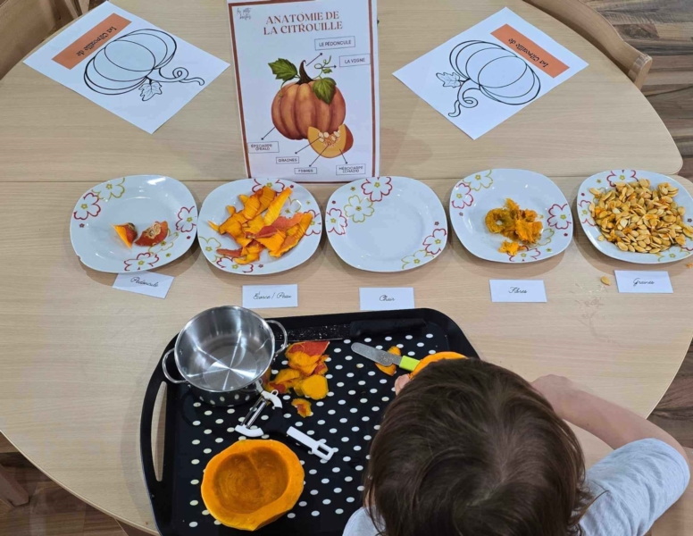 Image 25 : Crèche et foyer de jour pour enfant à Bous : Crèche Mäerchenschlass Sàrl