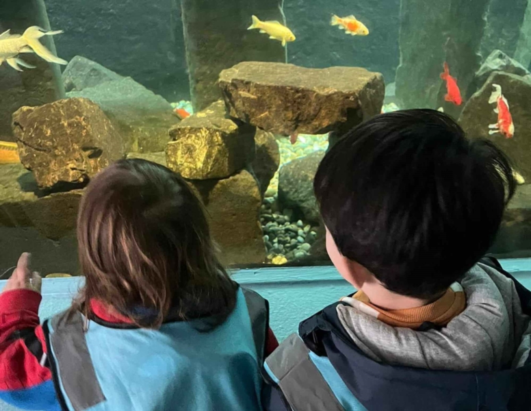 Image 27 : Crèche et foyer de jour pour enfant à Bous : Crèche Mäerchenschlass Sàrl