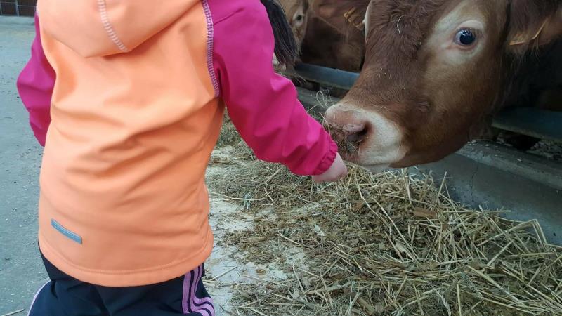 Image 8 : Crèche et foyer de jour pour enfant à Oberfeulen : Crèche Feelener Zwergewiss