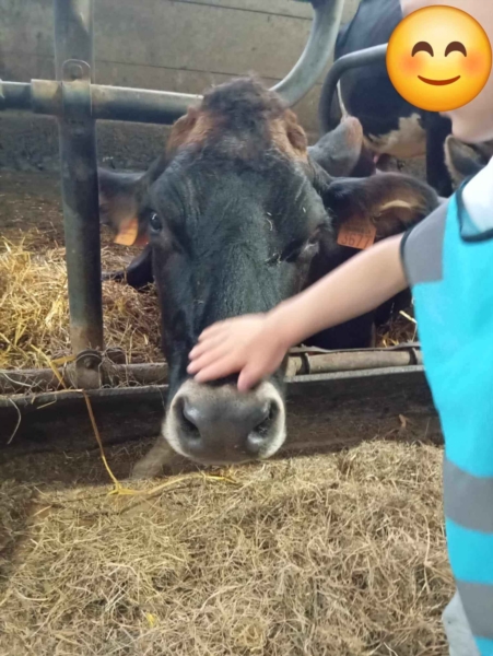 Image 28 : Crèche et foyer de jour pour enfant à Bous : Crèche Mäerchenschlass Sàrl